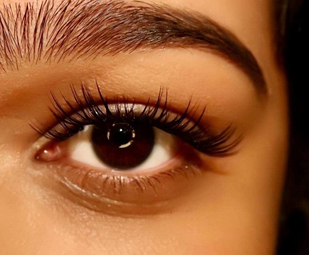 Lush Lashes